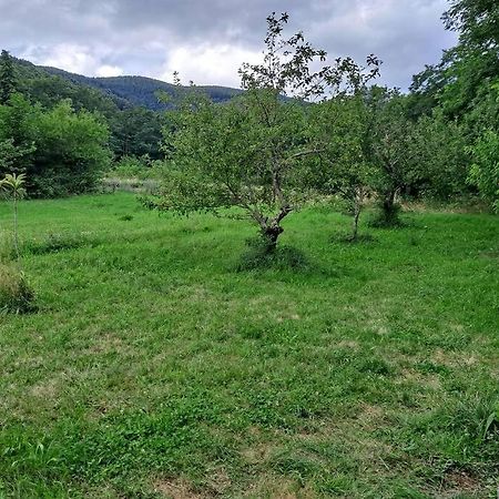 Charmante Roulotte Atypique Jaujac Εξωτερικό φωτογραφία
